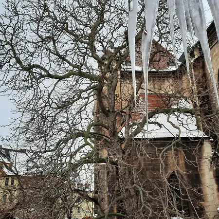 Schulmeisterhaus נאומבורג